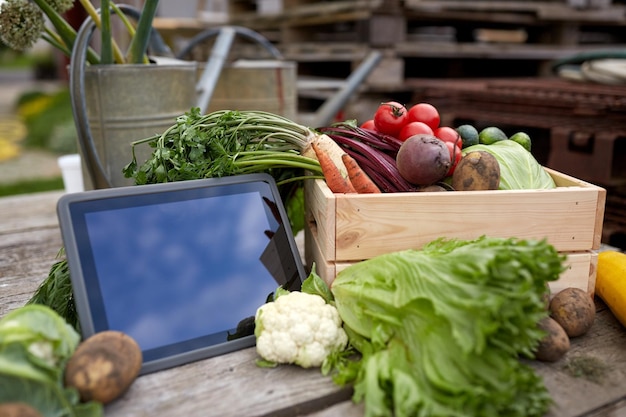 harvest, food and agriculture concept - close up of vegetables with tablet pc computer on farm