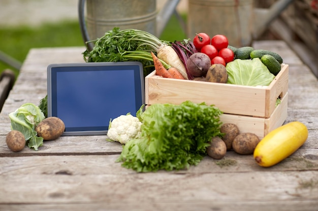 Photo harvest, food and agriculture concept - close up of vegetables with tablet pc computer on farm