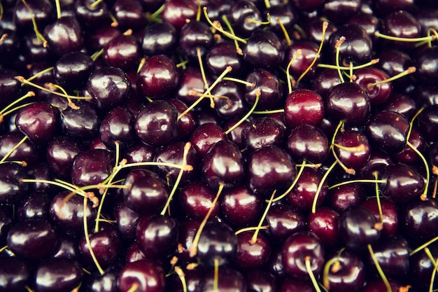 harvest, food, fruits and agriculture concept - close up of cherries