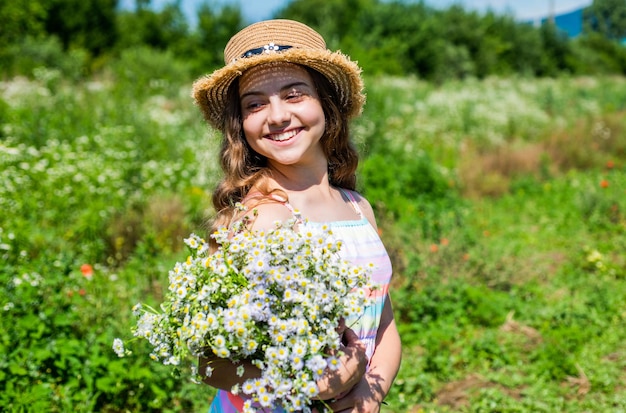 Harvest fresh herbs Little girl collecting chamomile flowers nature background