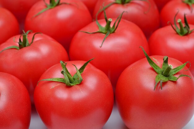 Harvest fresh pink tomatoes closeup