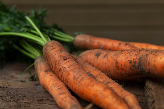 Harvest fresh young carrots with tops. Healthy food and vitamins. Close-up. Vertical.