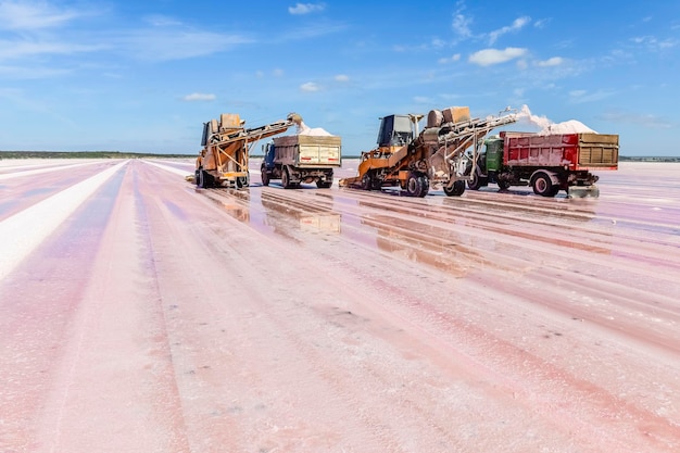 Harvest of mineral salt in La Pampa Argentina