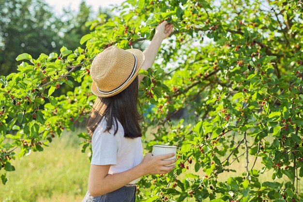 庭で桑の実を収穫します。桑の木のマグカップでベリーを引き裂く女児、夏の晴れた日の背景。健康的な天然ビタミン食品