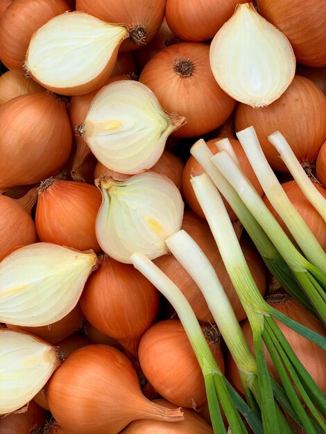 Photo harvest organic onion concept of organic vegetables