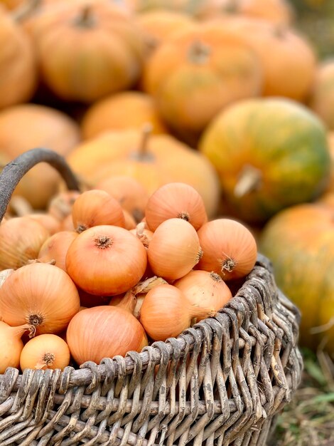 Photo harvest organic vegetables concept of organic vegetables