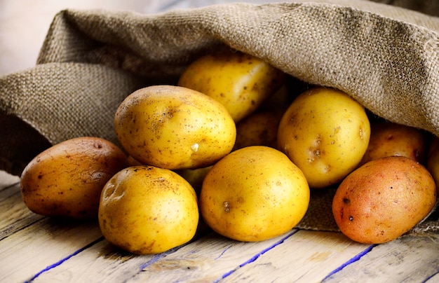 Harvest potatoes in burlap mesne on wooden table