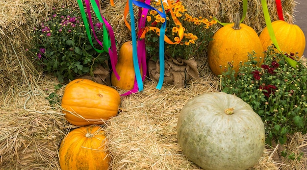 Foto raccolto di zucche, zucca, zucche e crisantemi disposti su mucchi di fieno vicino a nastri appesi, autunno e concetto di giorno del ringraziamento