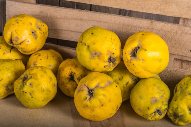 Harvest of quince