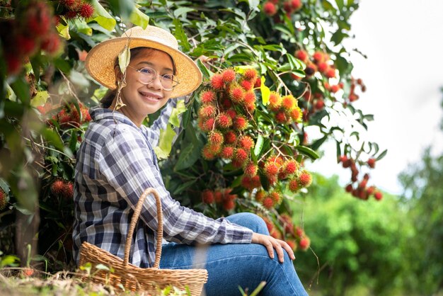 Урожай рамбутана от умной женщины-фермера на органической фруктовой ферме рамбутана