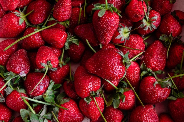 Harvest: red strawberries close up. The Victoria berry is ripe. summer season