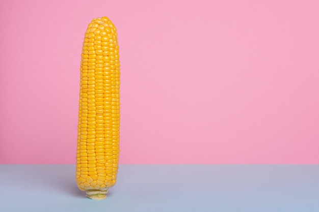 Photo harvest ripe corn on a bluepink background