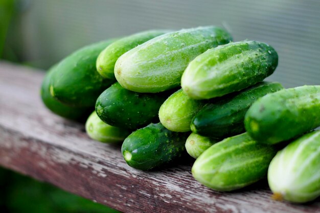 Photo harvest of ripe cucumbers in the garden