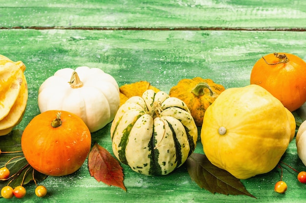 さまざまな熟したカボチャの収穫。カラフルなお祝いの背景、感謝祭やハロウィーンの日。古い木の板の背景、コピースペース