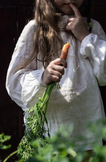 Photo harvest of vegetables in the hands of a little girl