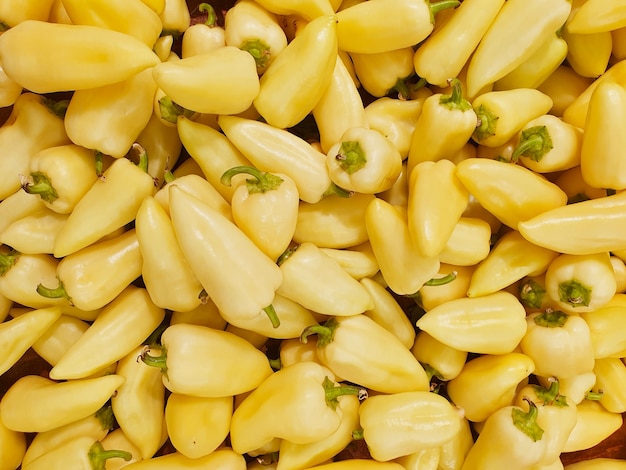 Harvest yellow peppers