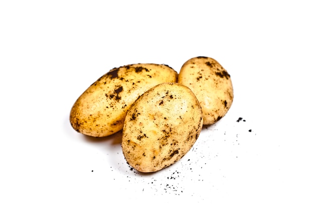 harvested dirty potatoes heap isolated on white 