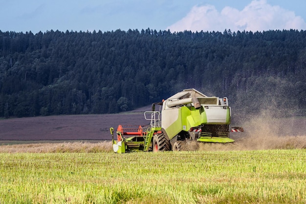 Campo di colza raccolto da una moderna mietitrebbia