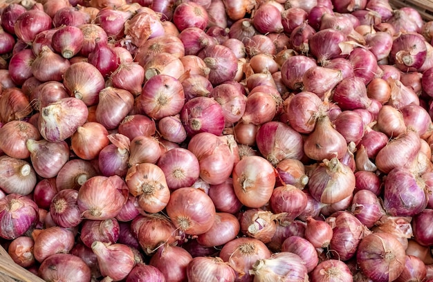 Harvested raw onions on a crate close up shot
