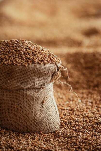 Harvested wheat grain in a linen sack