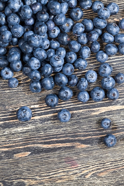 Harvested wild blueberries, fresh blue blueberries are spherical, blueberries can be used in cooking