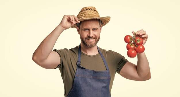 harvester in apron and hat with tomato bunch isolated on white