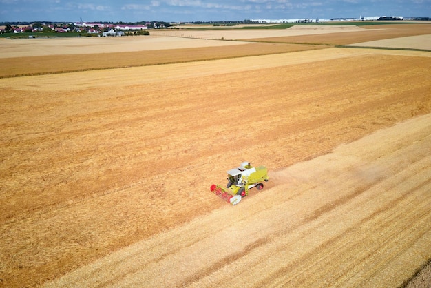 Harvester combine working in the field