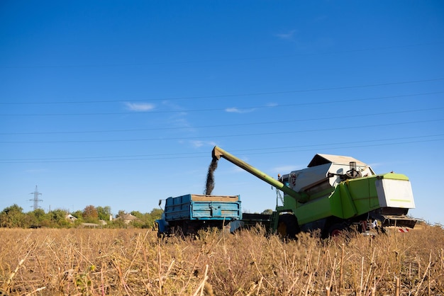 Harvester in a field for harvesting in autumn