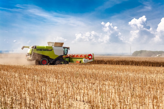 harvester in the field while harvesting grain