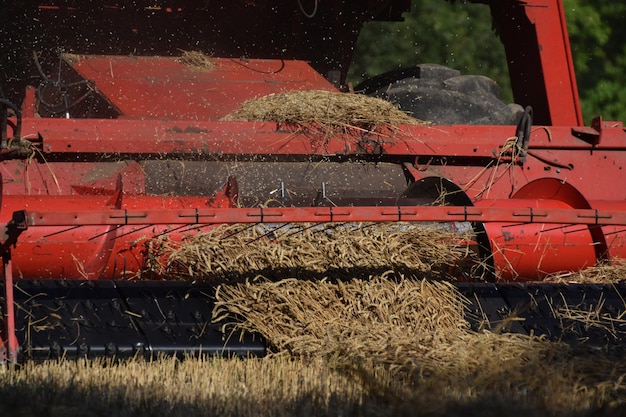 Photo harvester on field