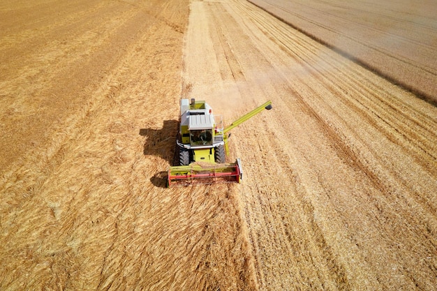 Harvester maaidorser werken in het veld