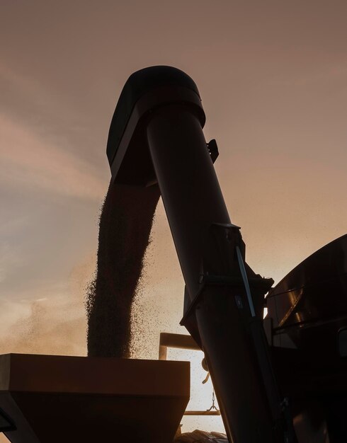 Harvester machine oogsten op het Argentijnse platteland provincie Buenos Aires, Argentinië