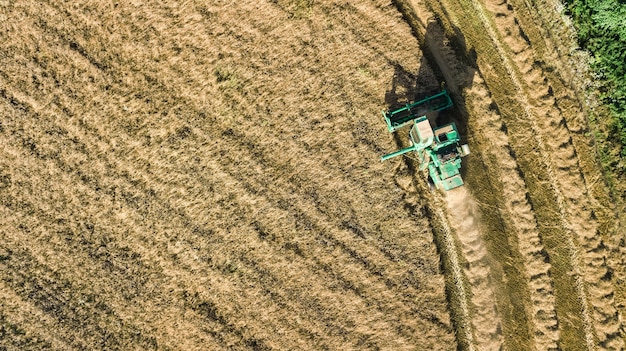 Harvester machine working in field aerial view from above, combine harvester agriculture machine harvesting ripe wheat field