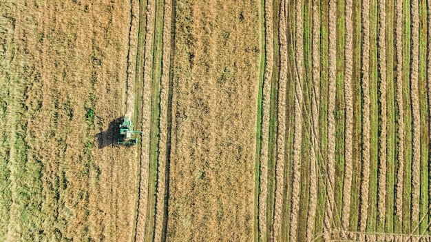 Macchina della mietitrice che lavora nella vista aerea del campo dall'alto, macchina agricola della mietitrebbiatrice che raccoglie il campo di grano maturo