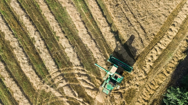 Macchina per mietitrebbia che lavora nel campo vista aerea dall'alto macchina per l'agricoltura della mietitrebbia