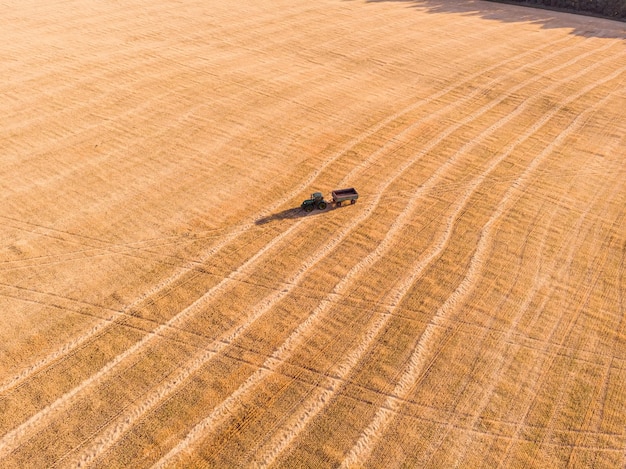 畑で働くコンバイン収穫機農業機械を組み合わせて黄金の熟した小麦畑を収穫する