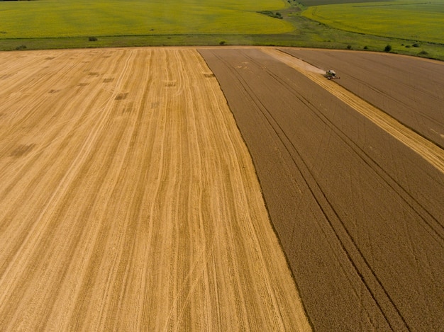 Harvester machine working in harvests wheat field. Aerial view.