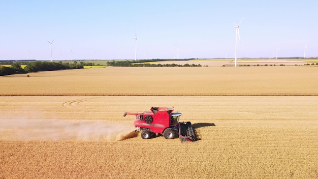 Harvester machine working in wheat field aerial view