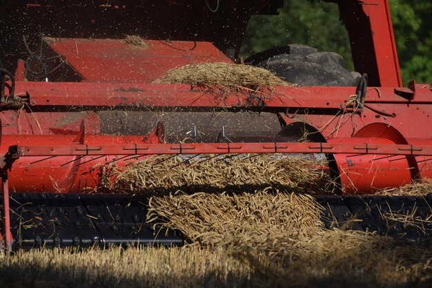 Foto harvester op het veld