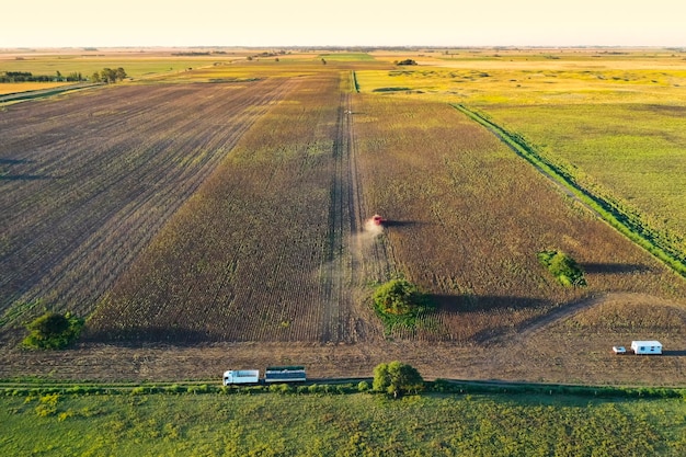 Harvester in Pampas Countryside aerial view La Pampa province Argentina