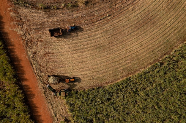 Harvester and trailer in sugar cane field in sunny afternoon top view