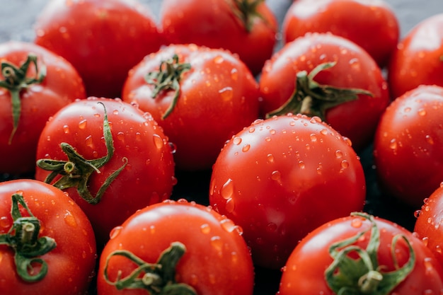 Concetto di raccolta e agricoltura.