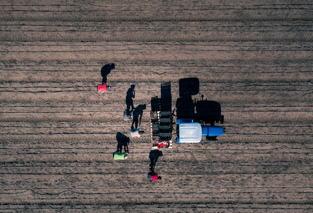 사진 들판에서 아스파라거스 수확 트랙터 근처에서 수동으로 아스파라거스를 수확하는 사람들이 대조되는 그림자가 있는 공중 촬영