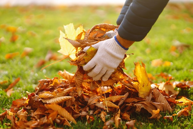 Foto raccolta delle foglie autunnali l'uomo pulisce il parco autunnale dalle foglie gialle pulizie volontarie