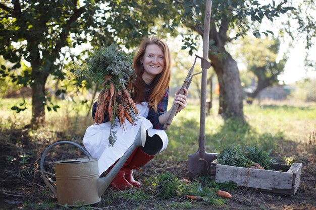 Harvesting carrots. Happy girl picks carrots in the garden