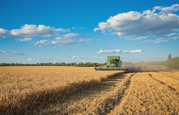 Harvesting combine in the field