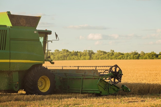 Harvesting combine in the field