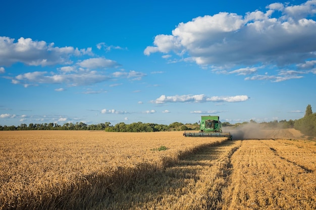 Harvesting combine in the field