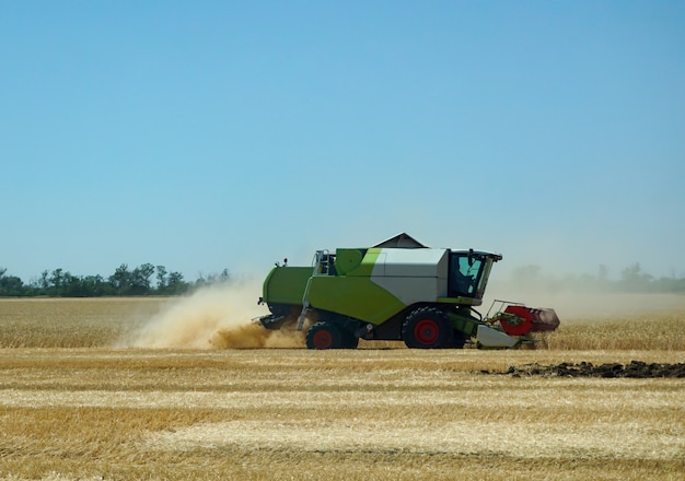 Harvesting. An combine harvests a wheat crop on a field in the Rostov region in Russia.