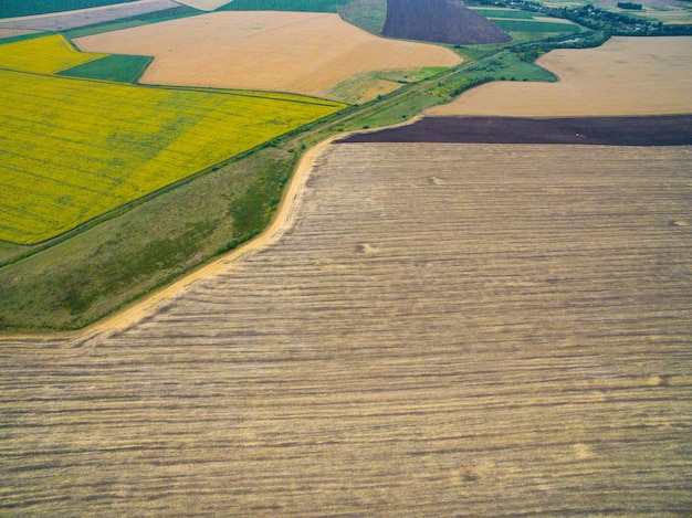 Harvesting in the field aerial view a lot of land